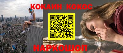 индика Бийск
