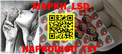 индика Бийск