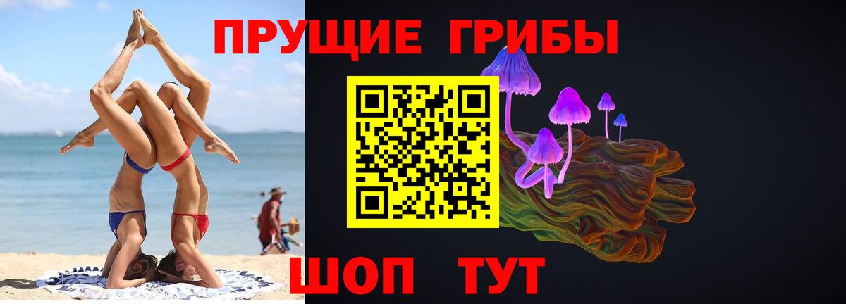 Псилоцибиновые грибы мухоморы  Вход с VPN  Камышин  Галлюциногенные грибы Cubensis 